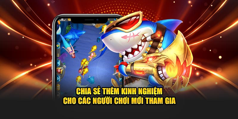 Chia sẻ thêm các kinh nghiệm