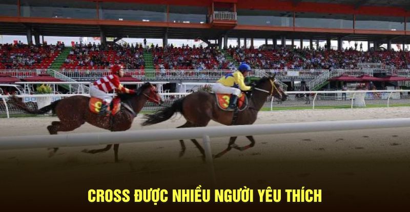 Hình thức kèo Cross được nhiều người yêu thích