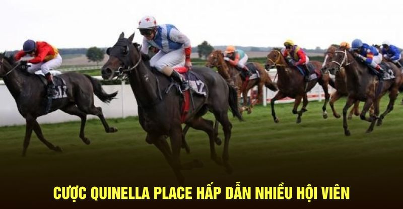 Cược Quinella Place hấp dẫn nhiều hội viên