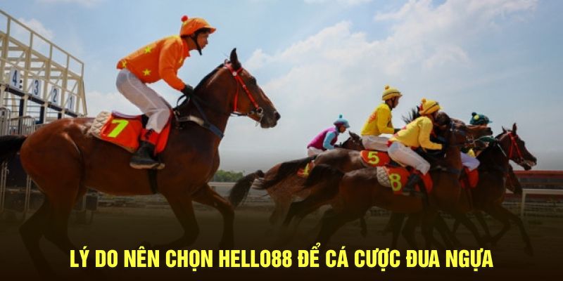 Lý do nên chọn Hello88 để cá cược đua ngựa