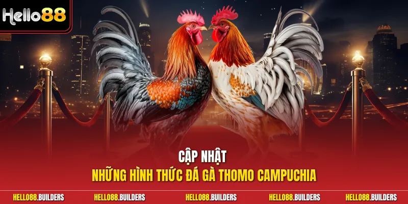 Cập nhật những hình thức đá gà Thomo Campuchia